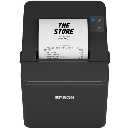 Epson TM T20IV 101 Termisk linje